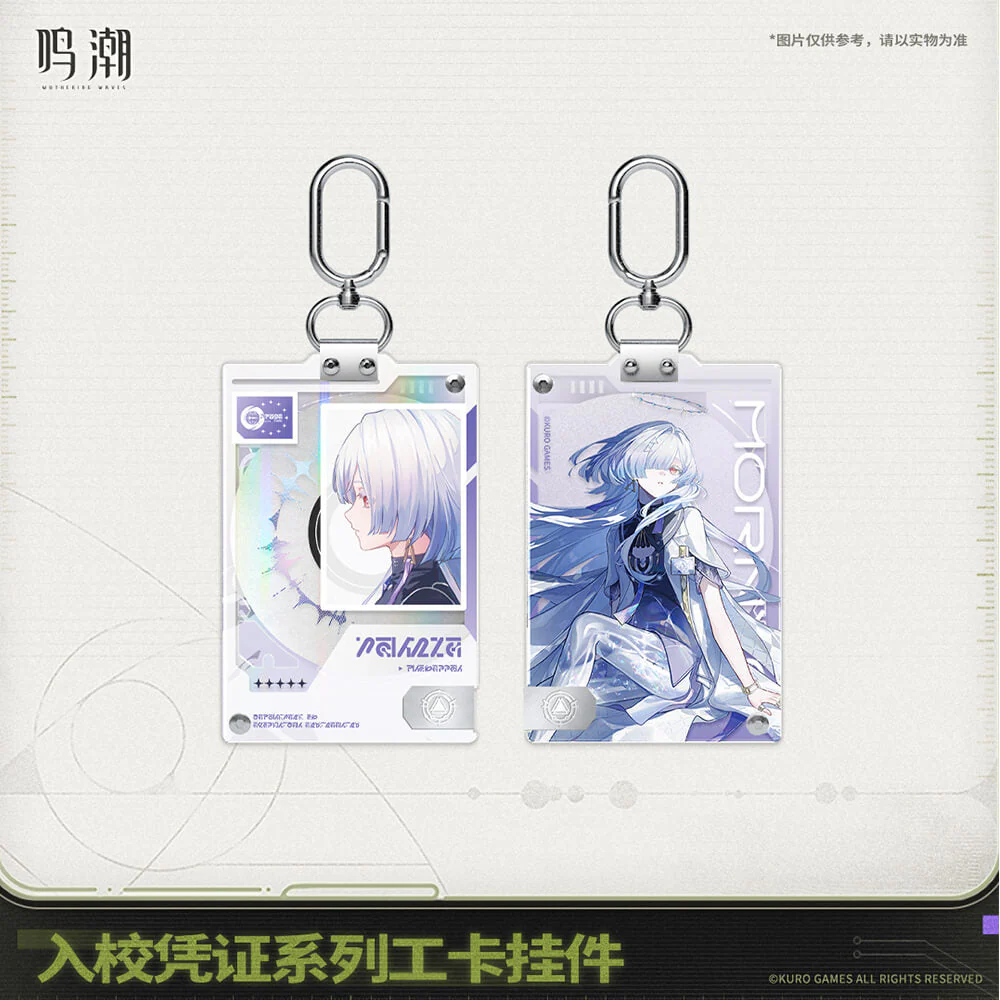 Entry Permit Series ID Card Keychain - Image 4